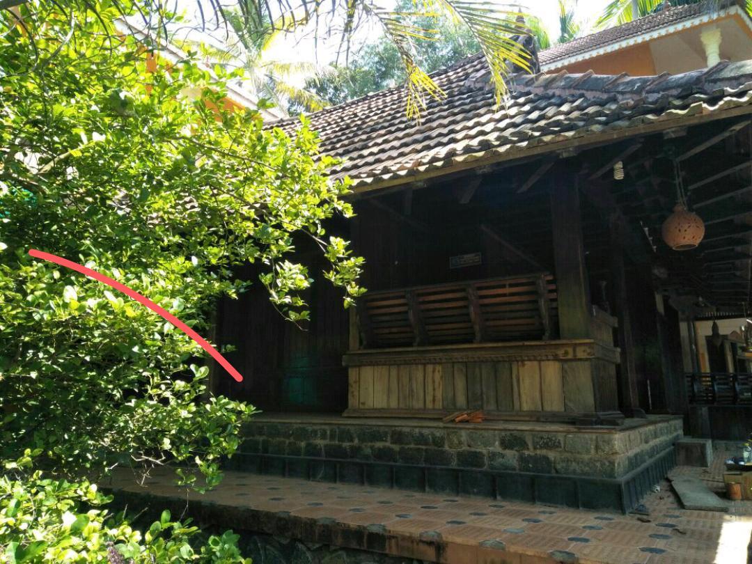 Apartamento Thriphala Ayurveda Yogashram Thiruvananthapuram Exterior foto